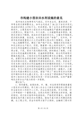 2024年市构建小型农田水利设施的意见