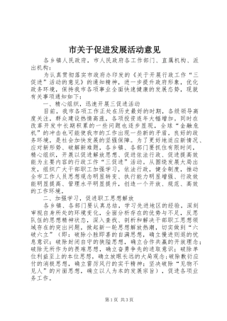 2024年市关于促进发展活动意见