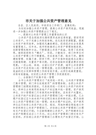 2024年市关于加强公共资产管理意见