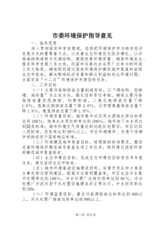2024年市委环境保护指导意见