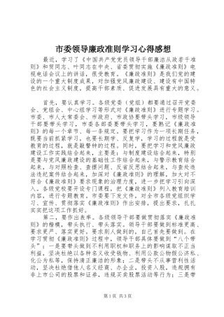 2024年市委领导廉政准则学习心得感想