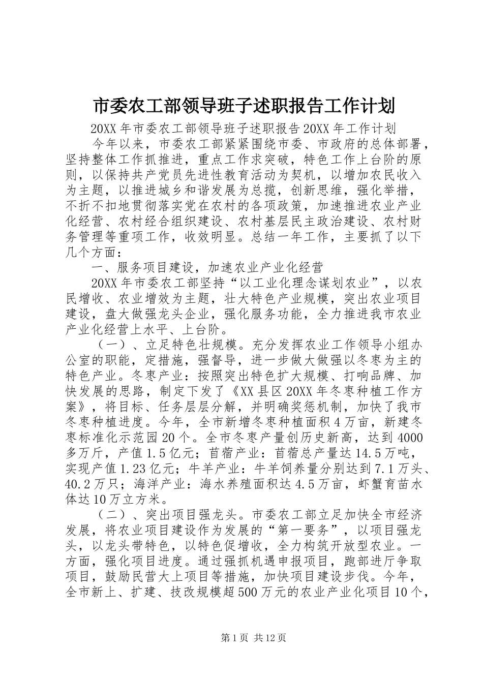 2024年市委农工部领导班子述职报告工作计划_第1页