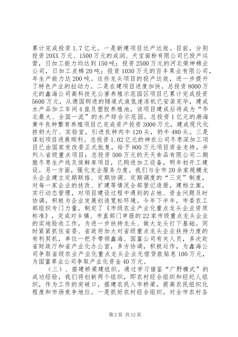 2024年市委农工部领导班子述职报告工作计划_第2页