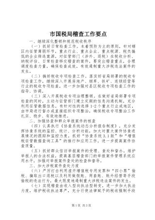 2024年市国税局稽查工作要点