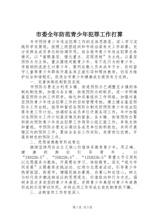 2024年市委全年防范青少年犯罪工作打算