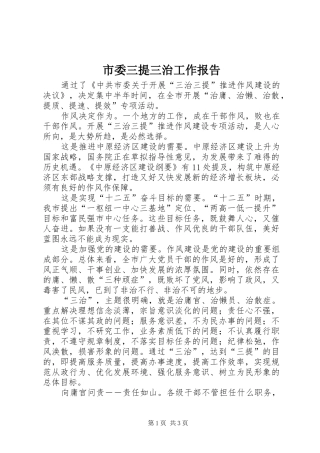 2024年市委三提三治工作报告