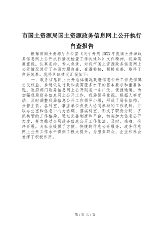 2024年市国土资源局国土资源政务信息网上公开执行自查报告