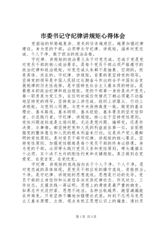 2024年市委书记守纪律讲规矩心得体会