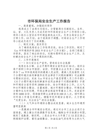 2024年市环保局安全生产工作报告