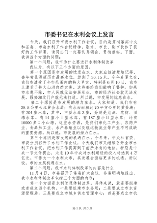 2024年市委书记在水利会议上讲话