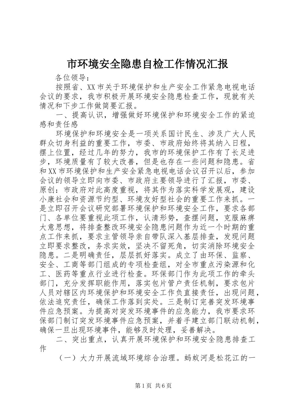 2024年市环境安全隐患自检工作情况汇报_第1页