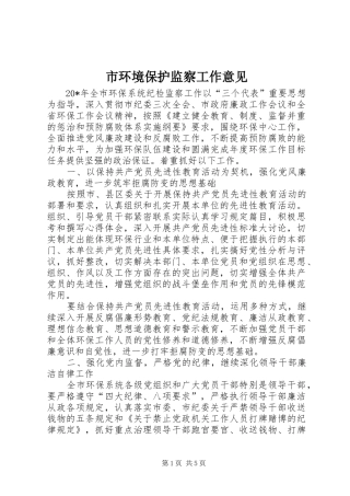 2024年市环境保护监察工作意见