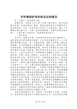 2024年市环境保护局对标定位的报告