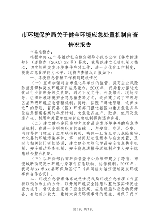 2024年市环境保护局关于健全环境应急处置机制自查情况报告
