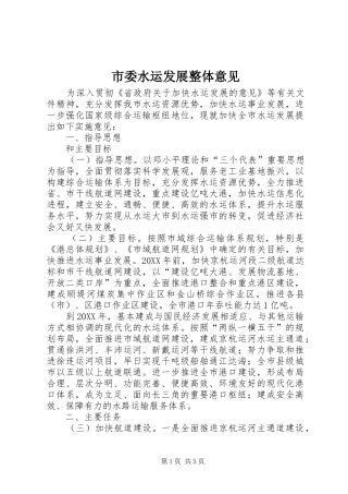 2024年市委水运发展整体意见