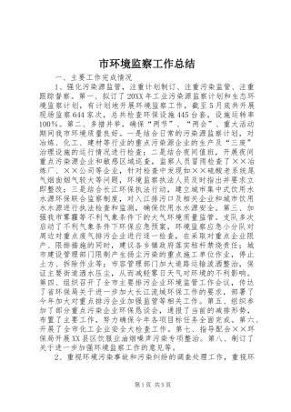 2024年市环境监察工作总结