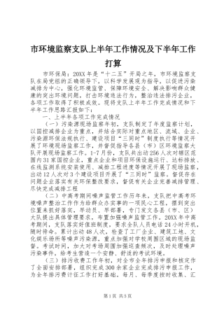 2024年市环境监察支队上半年工作情况及下半年工作打算