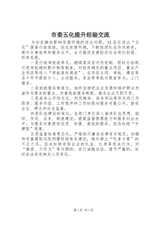 2024年市委五化提升经验交流