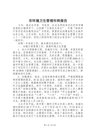 2024年市环境卫生管理年终报告
