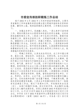 2024年市委宣传部挂职锻炼工作总结