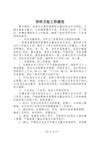 2024年市环卫处工作报告