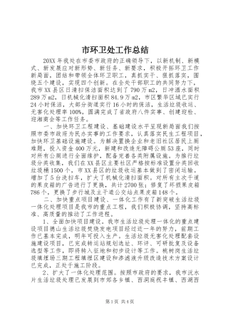 2024年市环卫处工作总结