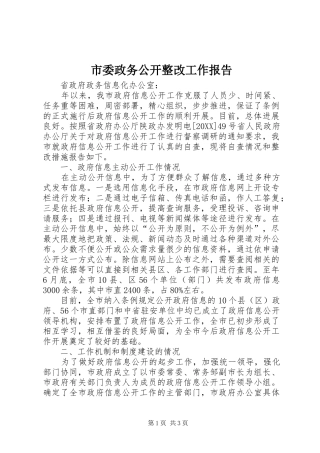 2024年市委政务公开整改工作报告