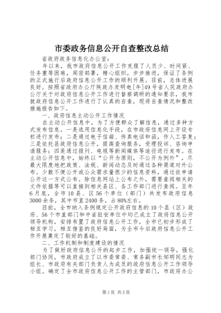2024年市委政务信息公开自查整改总结