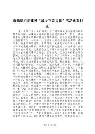2024年市基层组织建设城乡互联共建活动典型材料