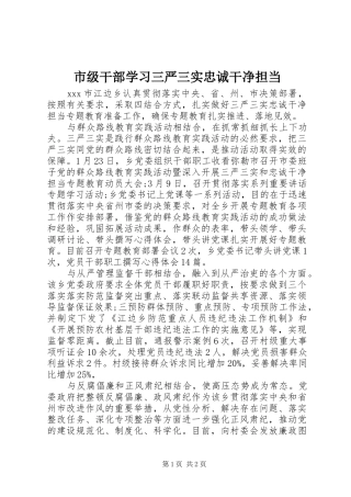 2024年市级干部学习三严三实忠诚干净担当