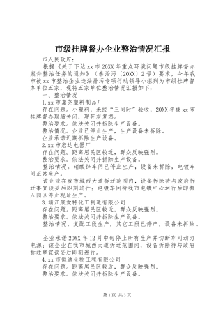 2024年市级挂牌督办企业整治情况汇报