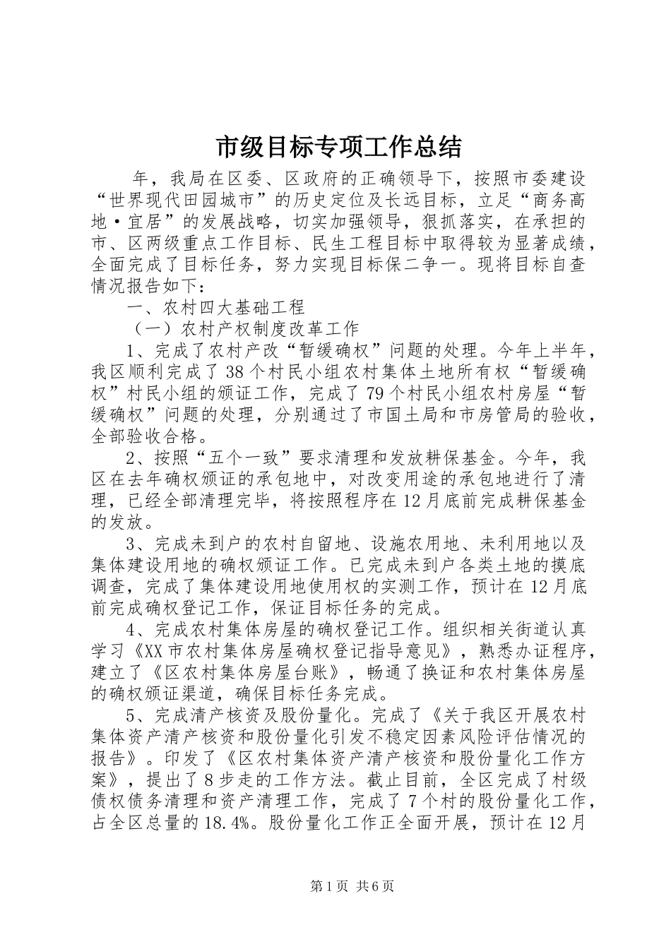 2024年市级目标专项工作总结_第1页