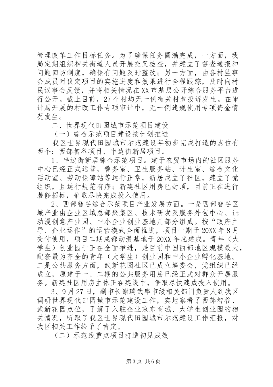 2024年市级目标专项工作总结_第3页