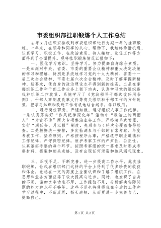 2024年市委组织部挂职锻炼个人工作总结