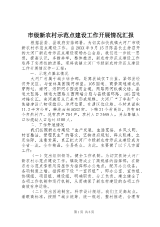2024年市级新农村示范点建设工作开展情况汇报