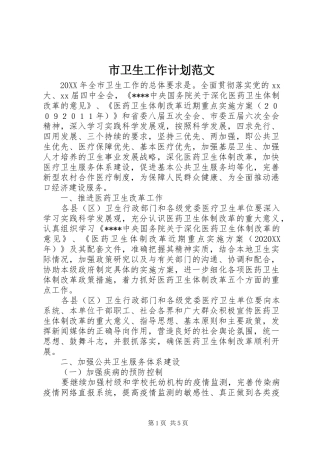 2024年市卫生工作计划范文