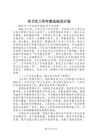 2024年市卫生工作年度总结及计划