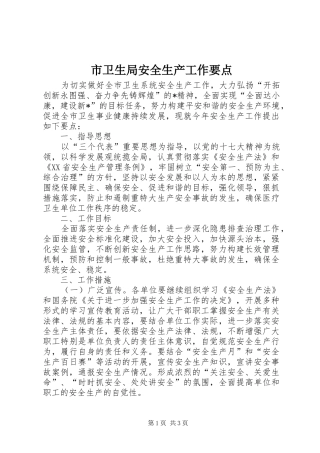 2024年市卫生局安全生产工作要点