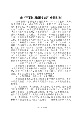 2024年市五四红旗团支部申报材料