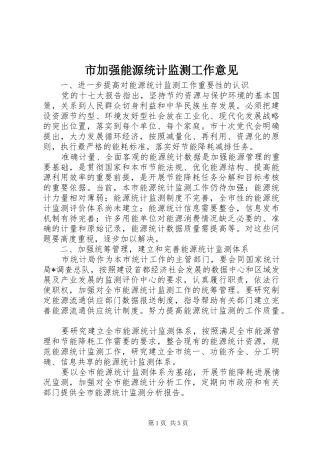 2024年市加强能源统计监测工作意见