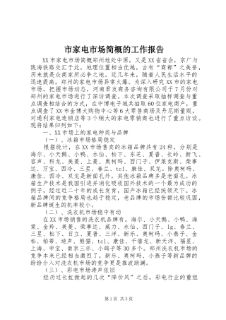 2024年市家电市场简概的工作报告