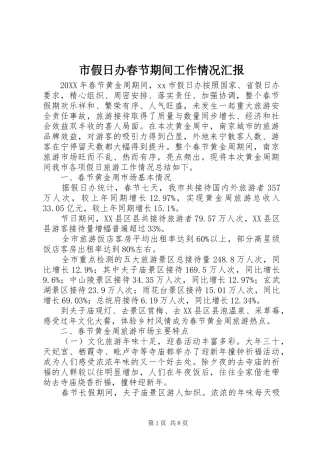 2024年市假日办春节期间工作情况汇报