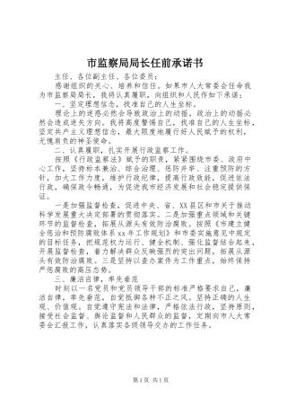 2024年市监察局局长任前承诺书