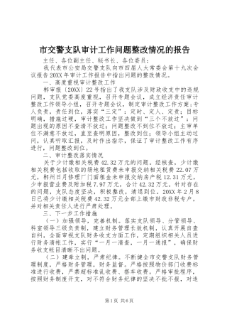 2024年市交警支队审计工作问题整改情况的报告