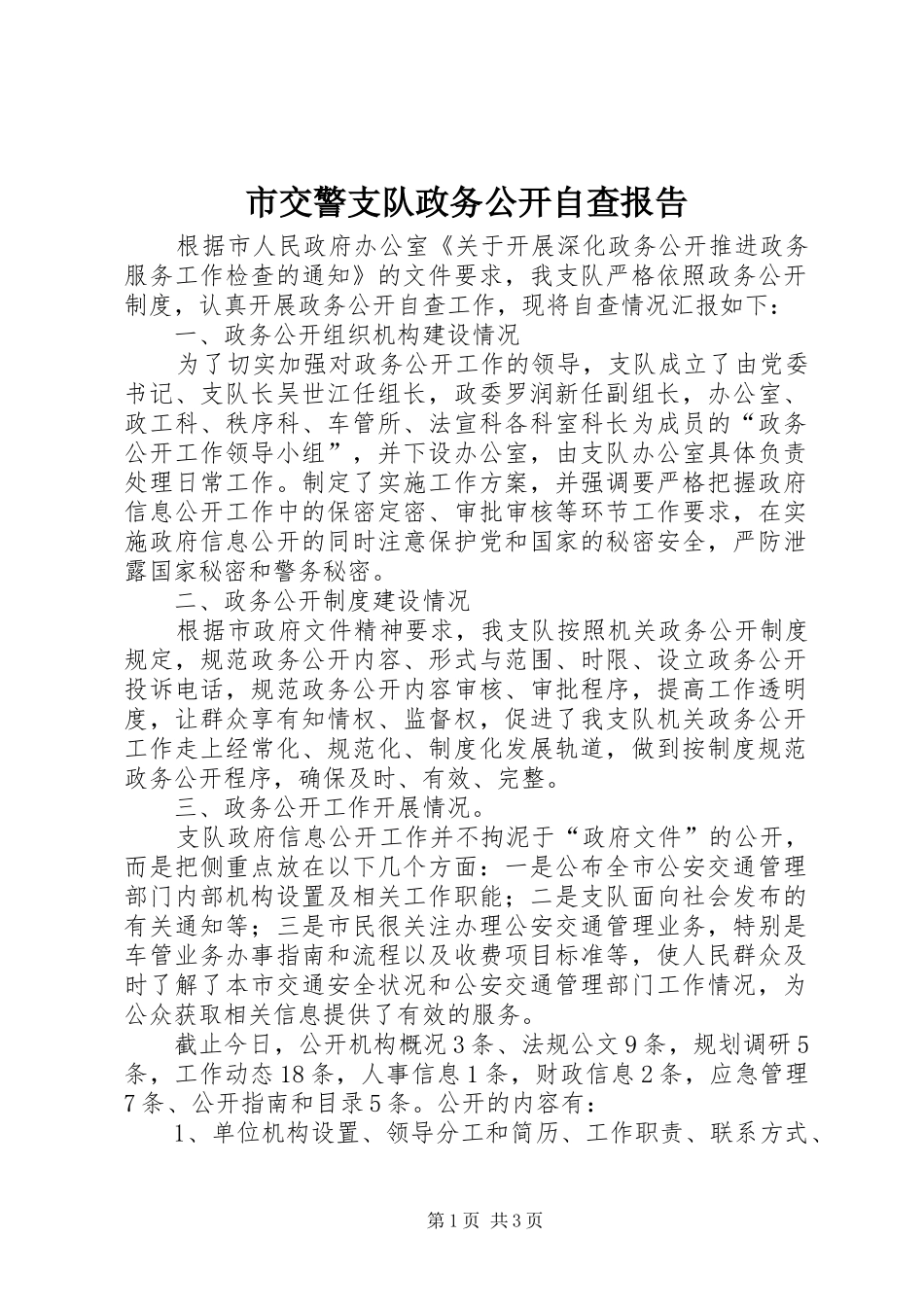 2024年市交警支队政务公开自查报告_第1页