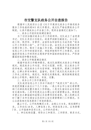 2024年市交警支队政务公开自查报告