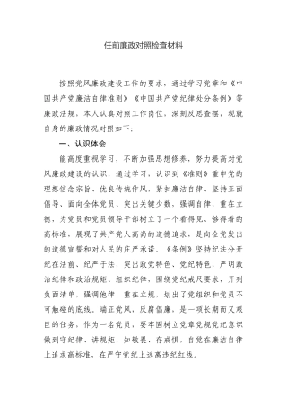 任前廉政对照检查材料