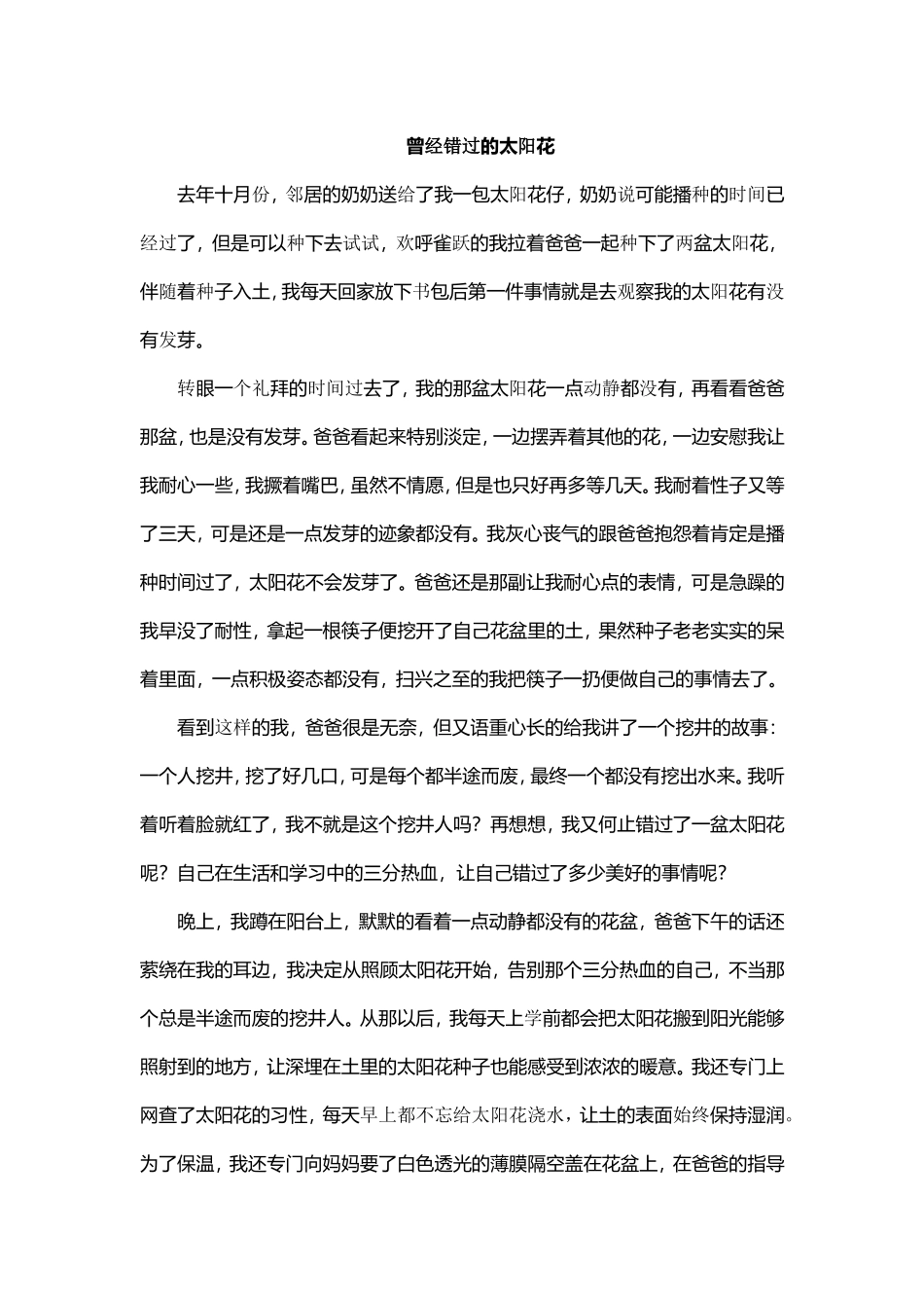 散文 曾经错过的太阳花，永不错过的坚持_第1页
