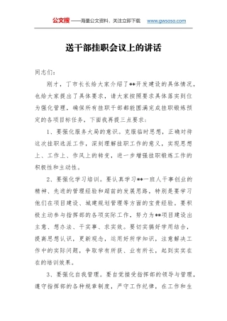 送干部挂职会议上的讲话（二）