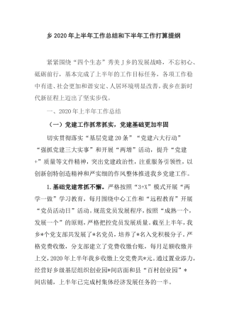 乡2020年上半年工作总结和下半年工作打算提纲